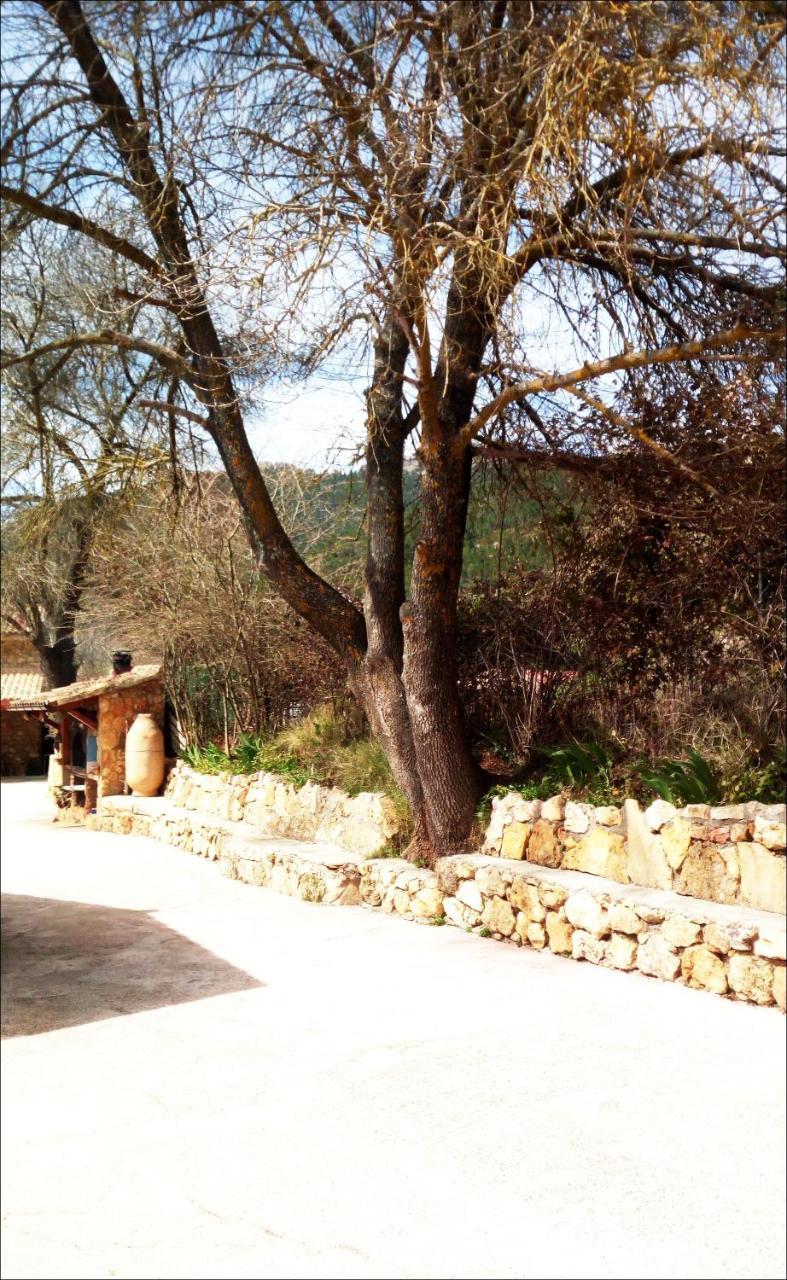 Casas Rurales Picos Del Oso Riopar Exterior photo