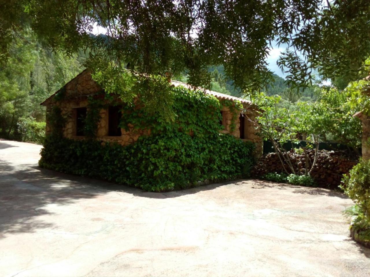 Casas Rurales Picos Del Oso Riopar Exterior photo