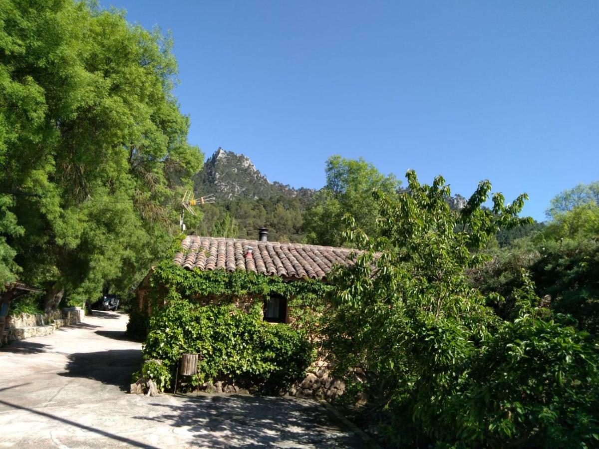 Casas Rurales Picos Del Oso Riopar Exterior photo